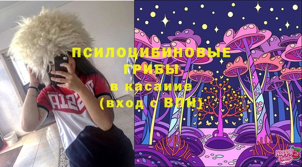 МДПВ Няндома