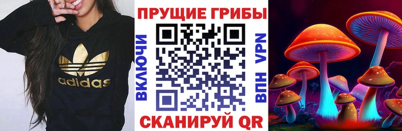 Галлюциногенные грибы ЛСД  hydra   Мещовск 